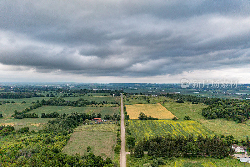 鸟瞰油菜籽田和乡村道路，Bradford West Gwillimbury，加拿大